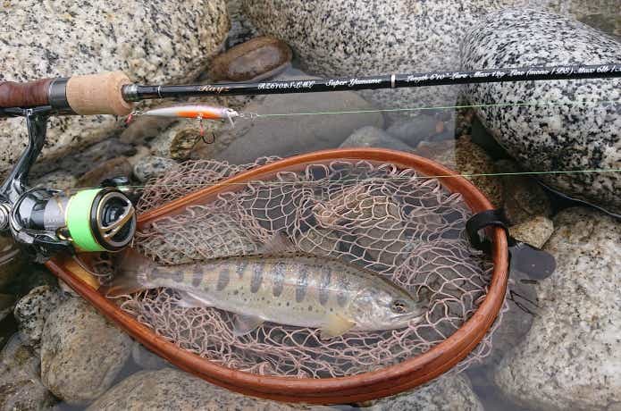 ターポンに夢中：巨人を捕まえるための釣りガイド！