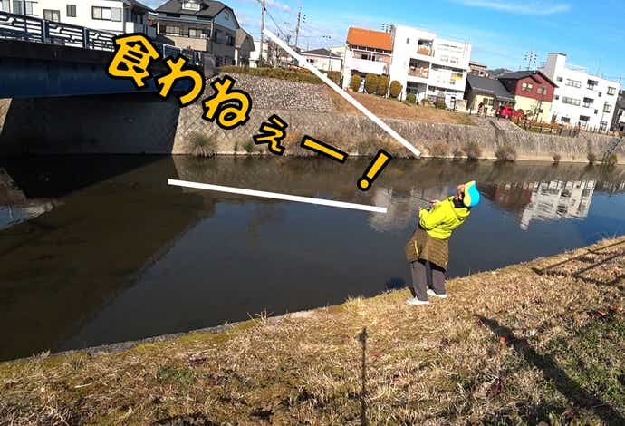 フナ　釣り