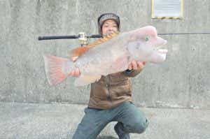 コブダイ釣りの画像