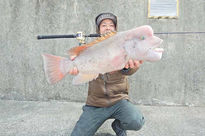 コブダイ釣りの画像