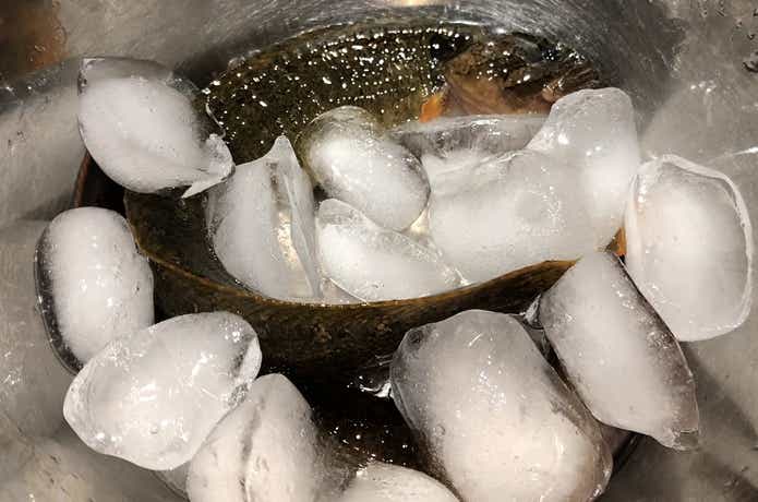 ギンポの氷じめ