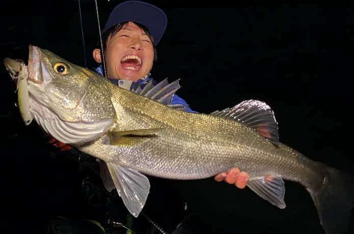 ミノーで釣ったシーバスの画像