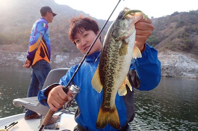 バスの釣果