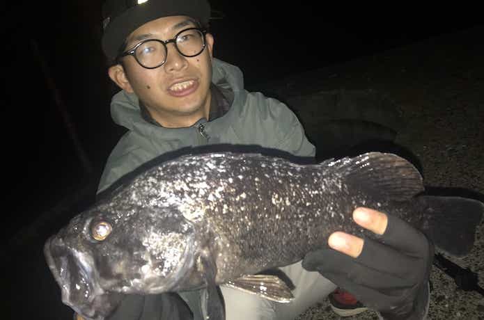 大型のクロソイ