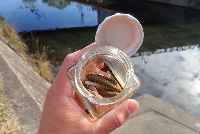サンドワーム