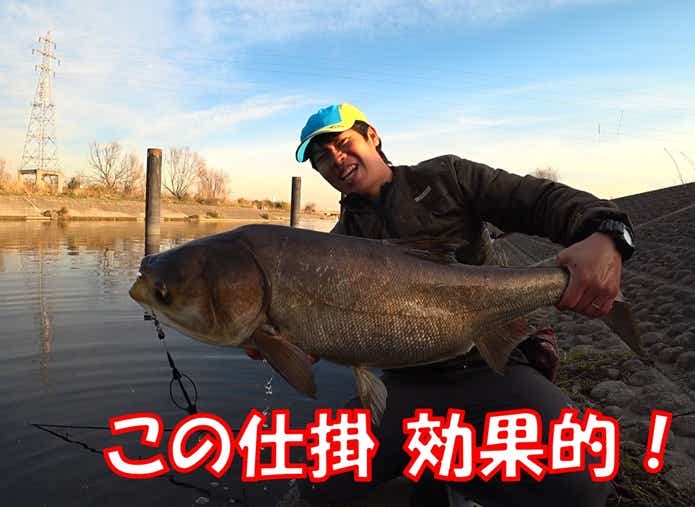 ハクレン釣り