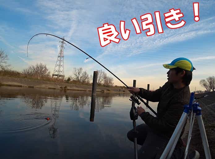 ハクレン　ファイト