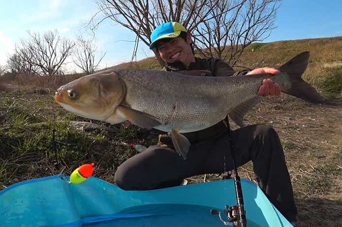 釣ったハクレン
