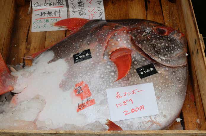 売られているアカマンボウ