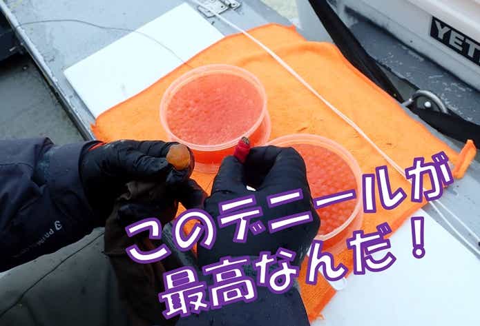 チョウザメ釣り エサ