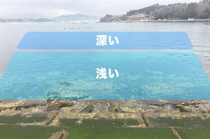 漁港の穴場ポイント
