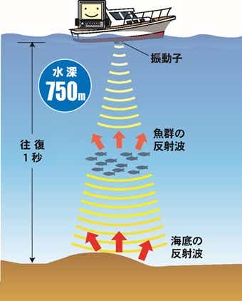 ❤水深・位置・魚群や数・底の状態を瞬時＆同時に把握♪❤