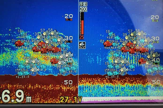 魚探の画像