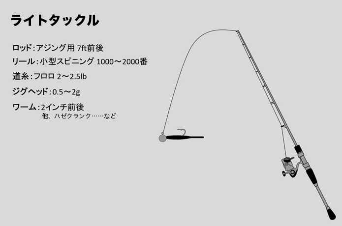 ライトタックル