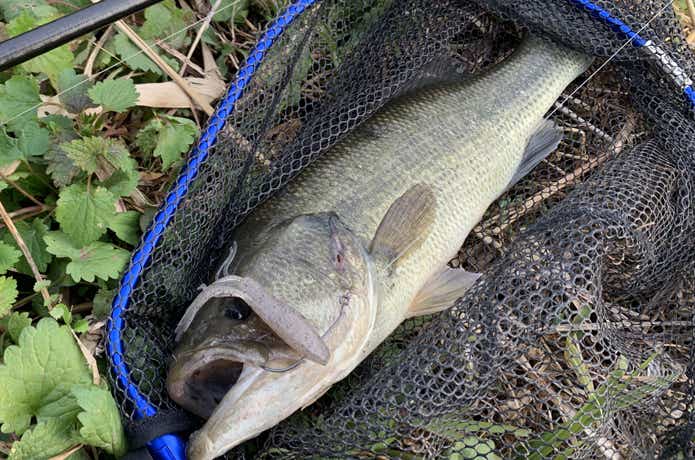 ドリフトクロー　釣果