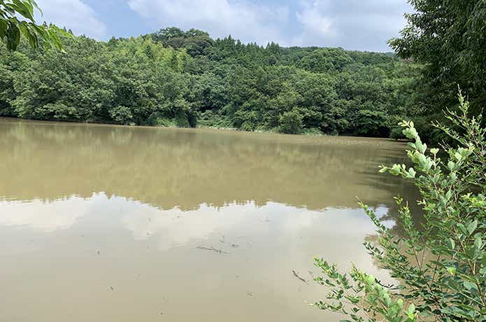 野池