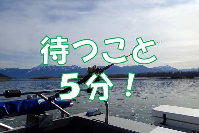 シロチョウザメ釣り