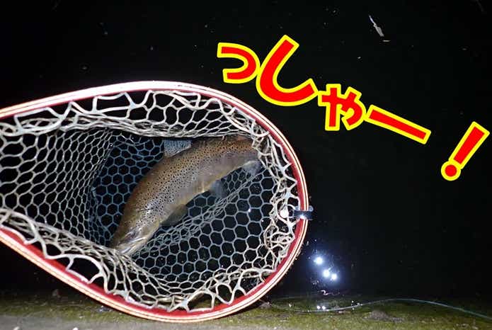 ブラウントラウト　タモ入れ