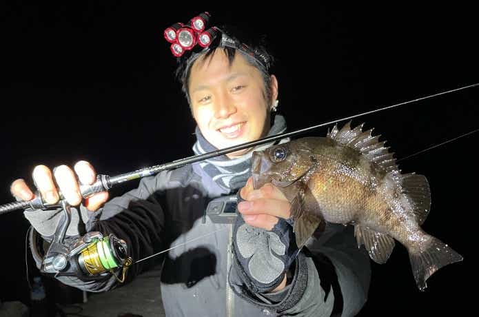 ワームでのメバリングの釣果