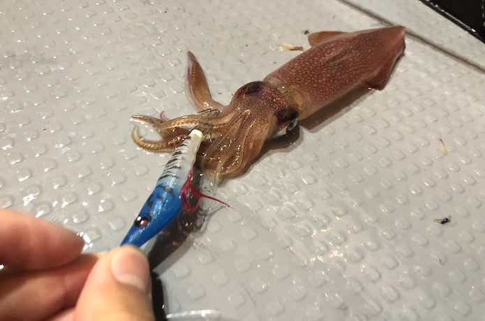 イージースリムの画像