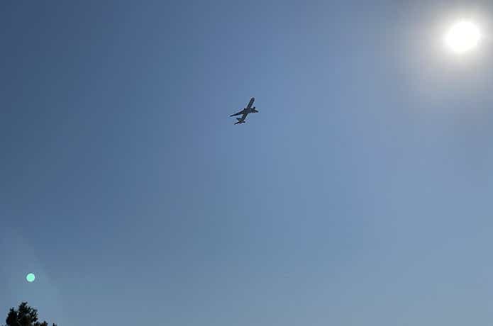 城南島海浜公園から見える飛行機
