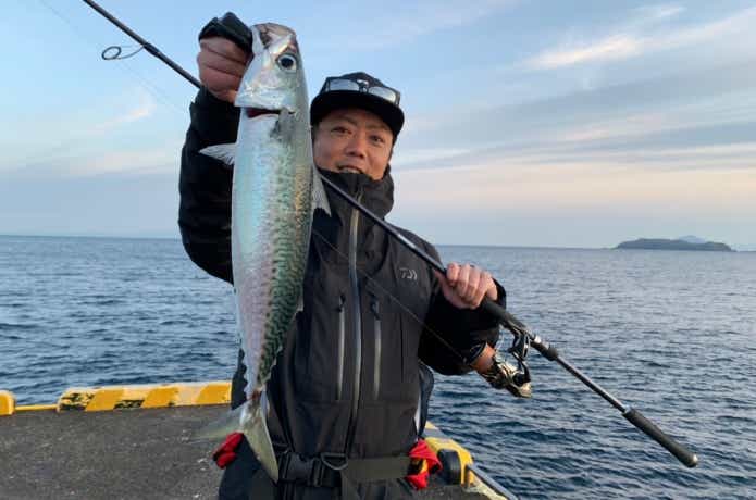20ツインパワーで釣ったサバ