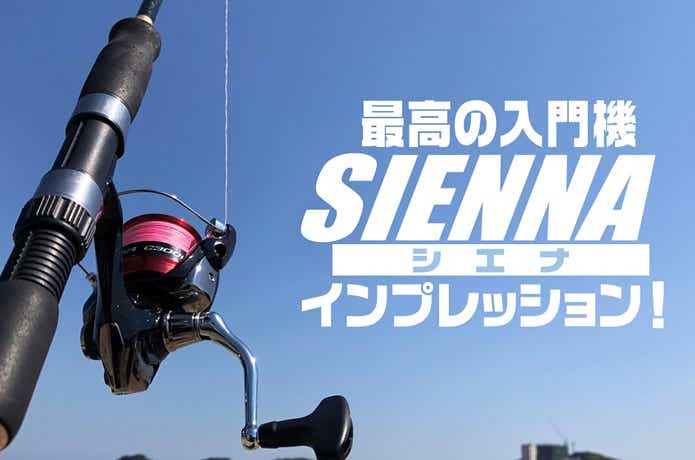 Shimano Sienna 4000FB Spinning Fishing Reel