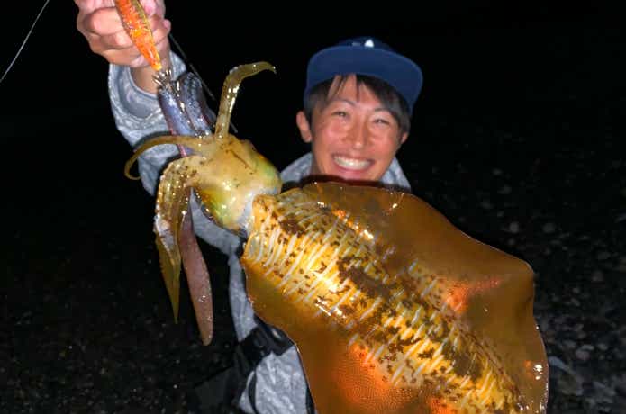 エギングの画像