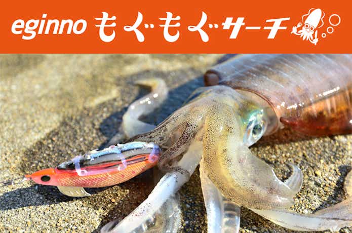 エギーノ　もぐもぐサーチ