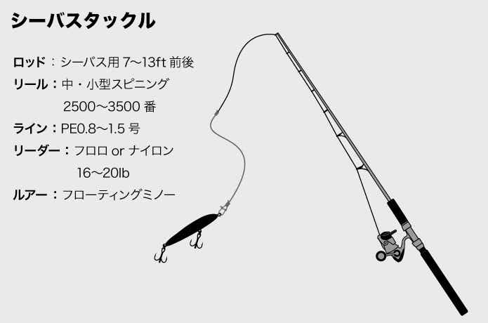 シーバスタックル
