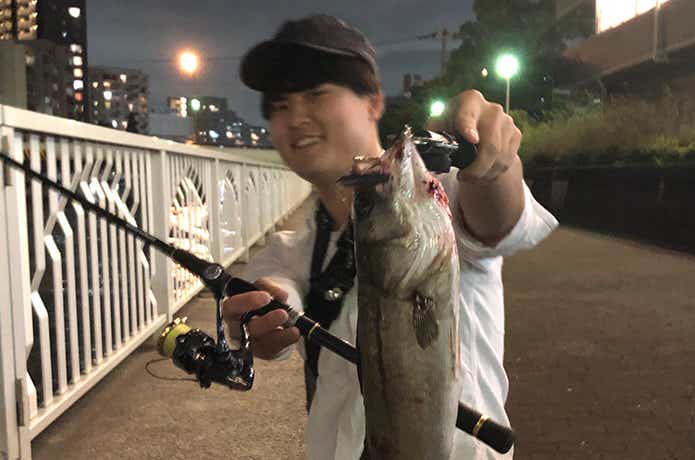 ノガレ120fで釣ったシーバス