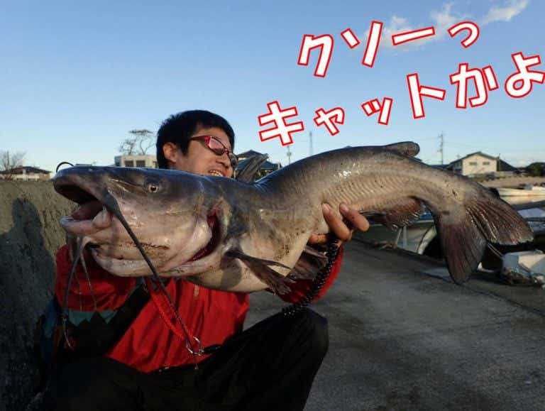 バス釣りの外道
