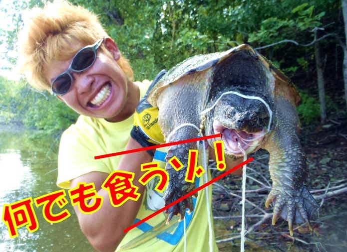 カミツキガメ　食性