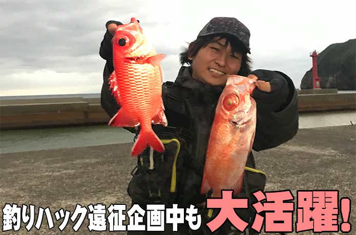5年間使用したエギングロッド！エメラルダスMX83Mの実釣インプレ