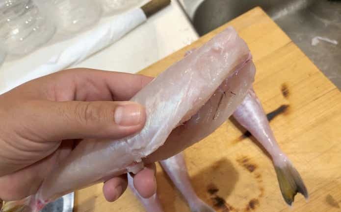 サバフグの身