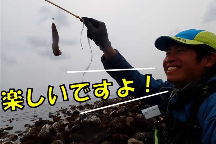 ギンポ釣り