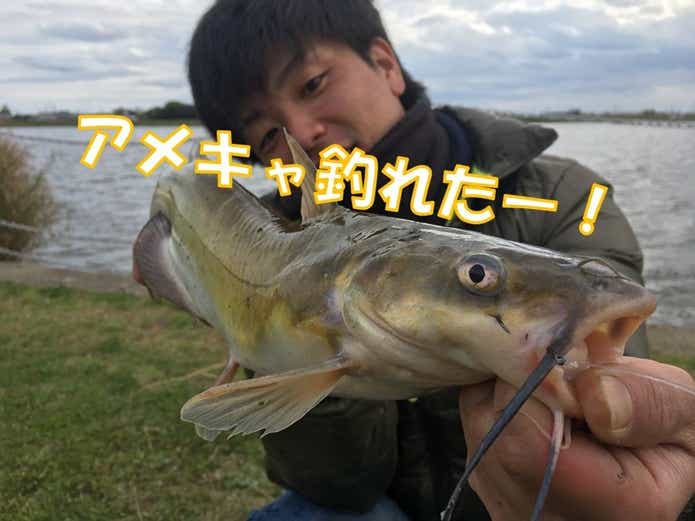 アメリカナマズ釣り