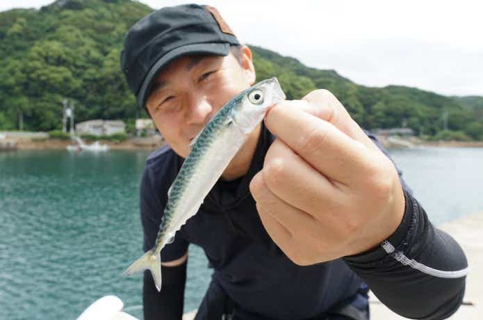 サビキ釣りの画像
