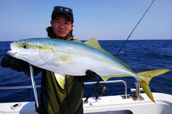 青物（青魚）はぜんぶで何種類いるの？ターゲットごとに釣り方や料理法を解説します！ | 【TSURI HACK】日本最大級の釣りマガジン - 釣りハック