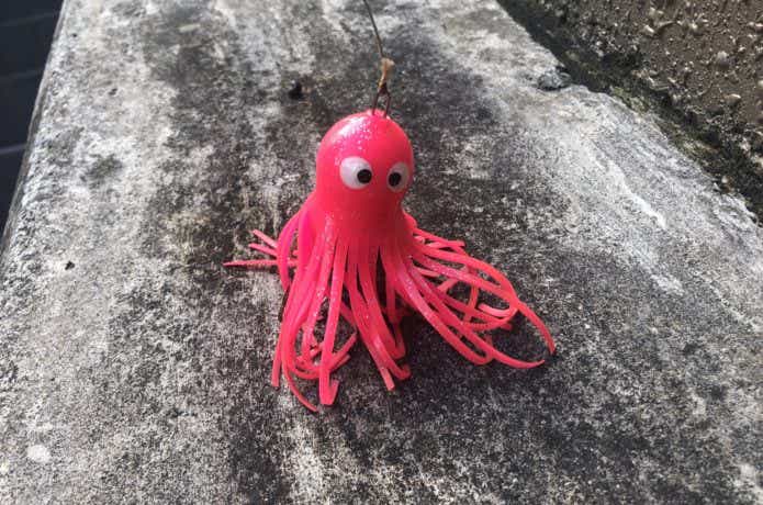 タコジグの画像