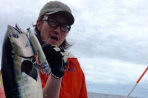 メバチマグロの画像