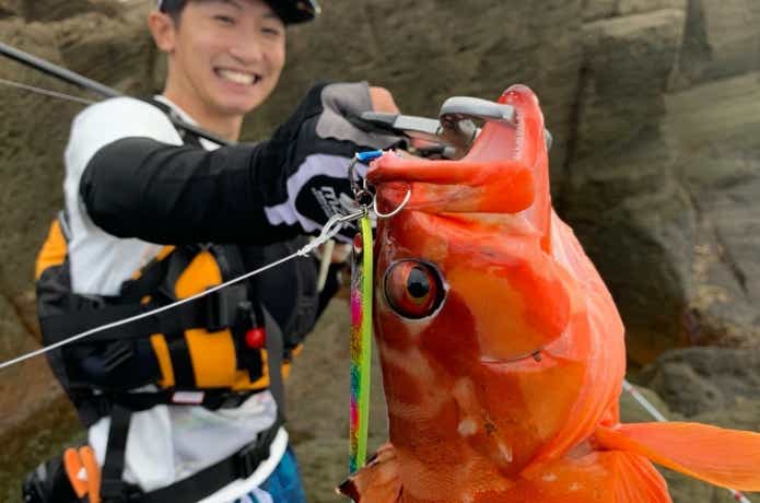 アカハタ釣りのルアーの画像