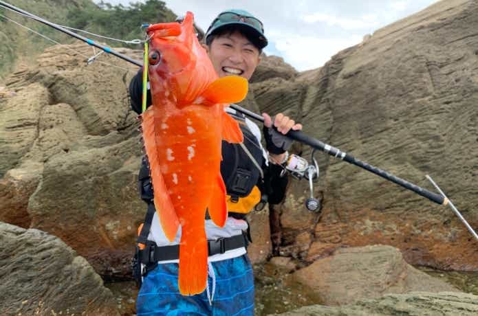 アカハタ釣りの画像