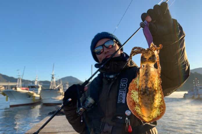 エギングで釣ったアオリイカ