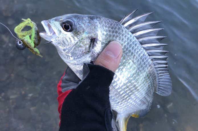FISHING GANG 『YOSHIKI』のチニング
