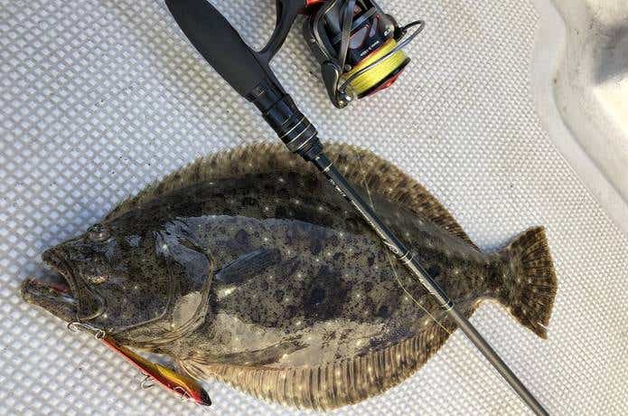 ボートキャスティングで釣れたヒラメ