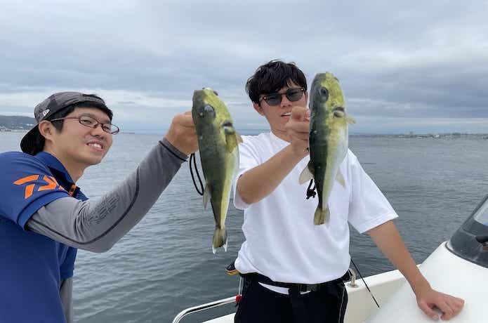 瀬戸内海で釣れたサバフグ