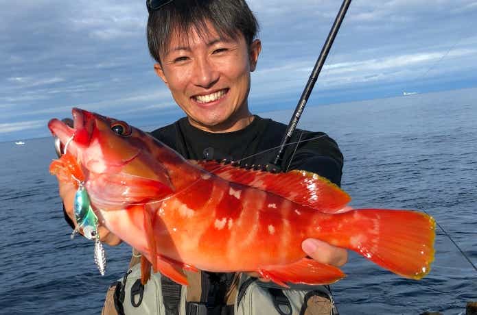 アカハタ釣りの画像