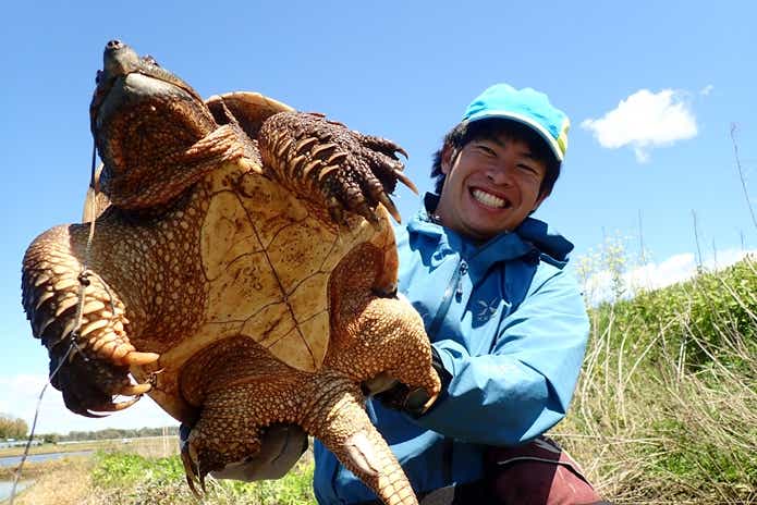 カミツキガメ　持ち方