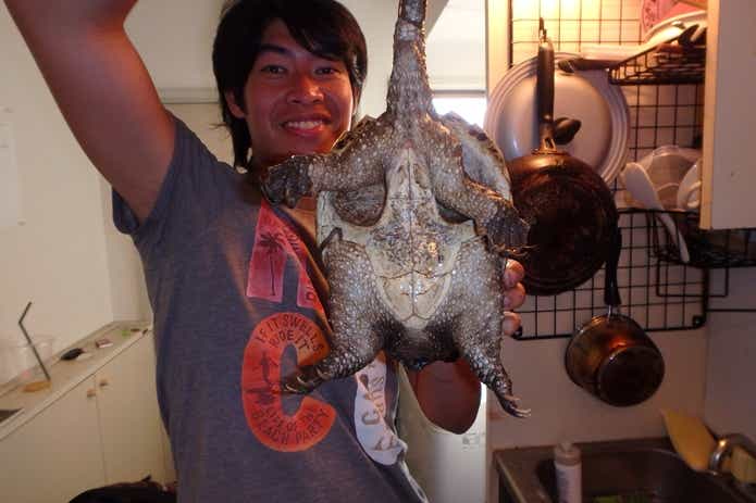 カミツキガメ　料理